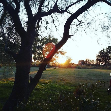 La Nena: Casa De Campo A 15 Minutos Del Centro. Villa Colonia del Sacramento Esterno foto