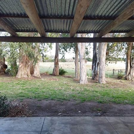 La Nena: Casa De Campo A 15 Minutos Del Centro. Villa Colonia del Sacramento Esterno foto